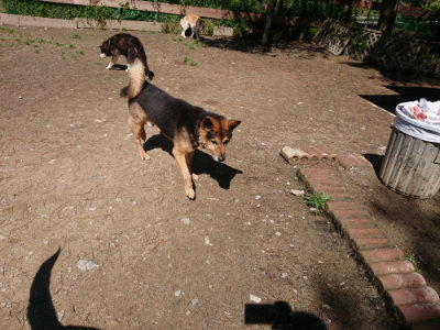 f:id:roukenhome-ann:20190507121110j:plain