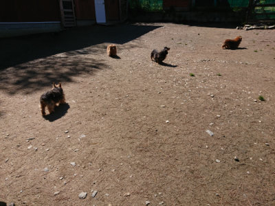 f:id:roukenhome-ann:20190507121118j:plain