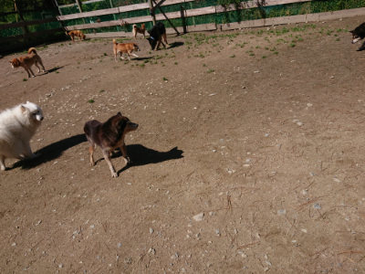 f:id:roukenhome-ann:20190507121129j:plain