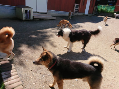 f:id:roukenhome-ann:20190507121140j:plain
