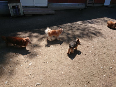 f:id:roukenhome-ann:20190507121149j:plain