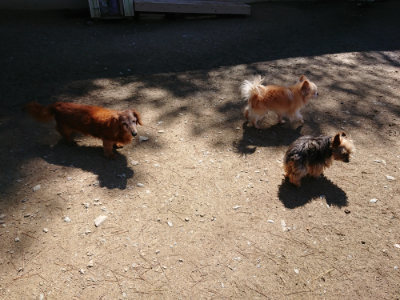 f:id:roukenhome-ann:20190507121153j:plain