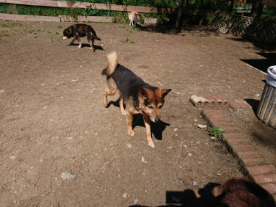 f:id:roukenhome-ann:20190507121158j:plain