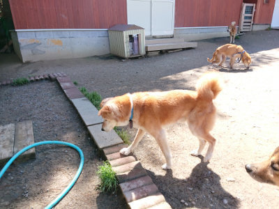 f:id:roukenhome-ann:20190507121202j:plain