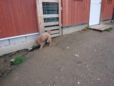 f:id:roukenhome-ann:20190507121207j:plain