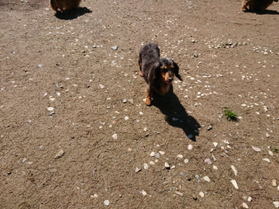 f:id:roukenhome-ann:20190507121212j:plain