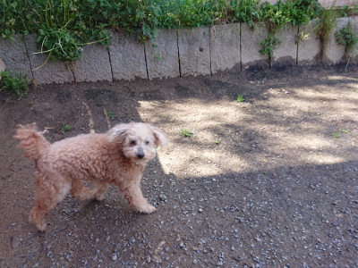 f:id:roukenhome-ann:20190507121227j:plain