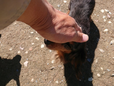 f:id:roukenhome-ann:20190507121251j:plain
