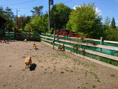 f:id:roukenhome-ann:20190507121300j:plain