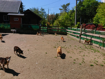 f:id:roukenhome-ann:20190507121315j:plain