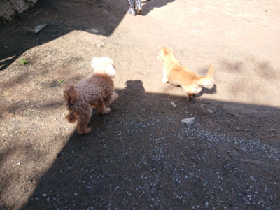 f:id:roukenhome-ann:20190507121320j:plain