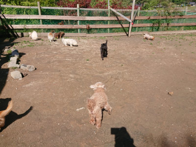f:id:roukenhome-ann:20190507121324j:plain