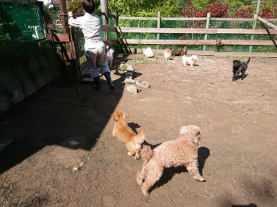 f:id:roukenhome-ann:20190507121343j:plain