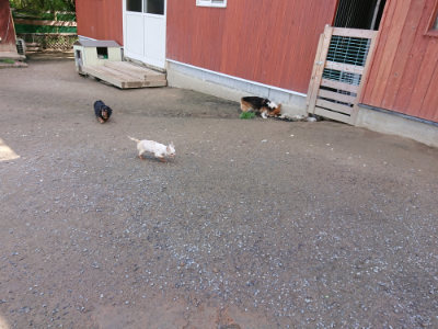 f:id:roukenhome-ann:20190507121348j:plain