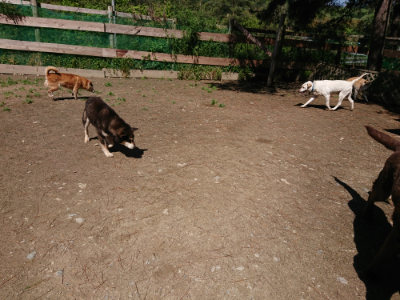 f:id:roukenhome-ann:20190507121357j:plain