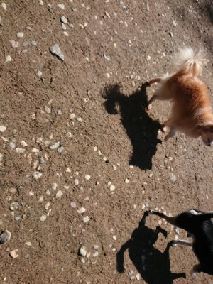 f:id:roukenhome-ann:20190507121402j:plain