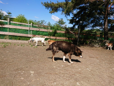 f:id:roukenhome-ann:20190507121407j:plain