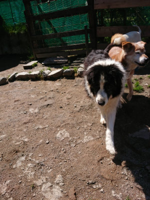 f:id:roukenhome-ann:20190507121438j:plain