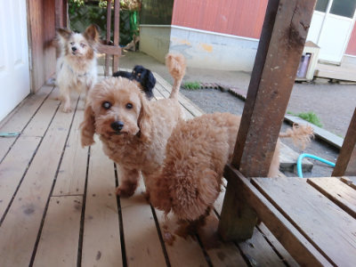 f:id:roukenhome-ann:20190507121442j:plain