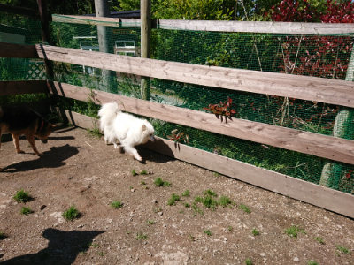 f:id:roukenhome-ann:20190507121457j:plain