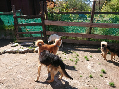 f:id:roukenhome-ann:20190507121516j:plain