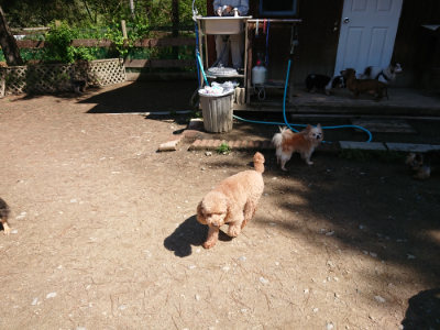 f:id:roukenhome-ann:20190507121536j:plain