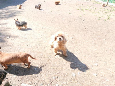 f:id:roukenhome-ann:20190507121546j:plain