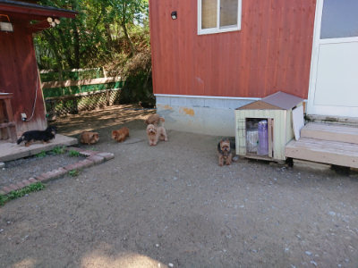 f:id:roukenhome-ann:20190507121550j:plain