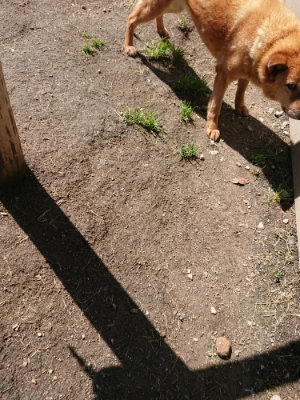 f:id:roukenhome-ann:20190507121620j:plain