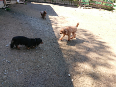 f:id:roukenhome-ann:20190507121629j:plain