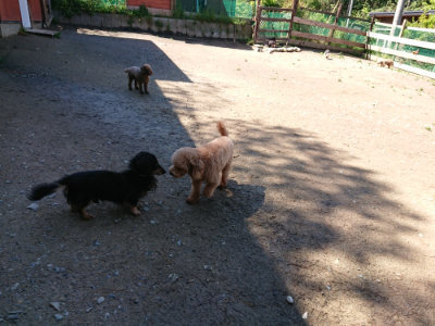 f:id:roukenhome-ann:20190507121635j:plain
