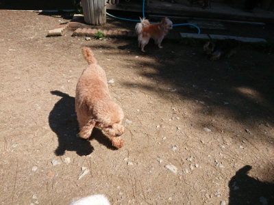 f:id:roukenhome-ann:20190507121640j:plain
