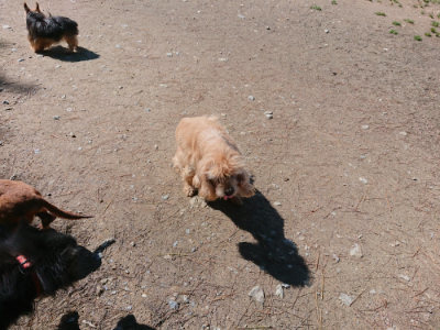f:id:roukenhome-ann:20190507121649j:plain