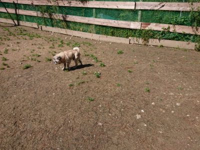 f:id:roukenhome-ann:20190507121654j:plain