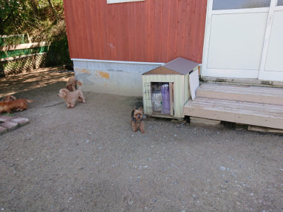 f:id:roukenhome-ann:20190507121659j:plain