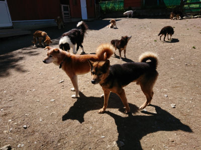 f:id:roukenhome-ann:20190507121704j:plain