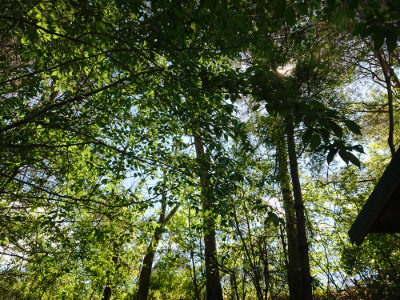 f:id:roukenhome-ann:20190507121730j:plain