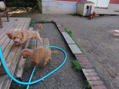 f:id:roukenhome-ann:20190507121750j:plain