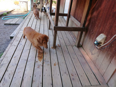 f:id:roukenhome-ann:20190507121754j:plain