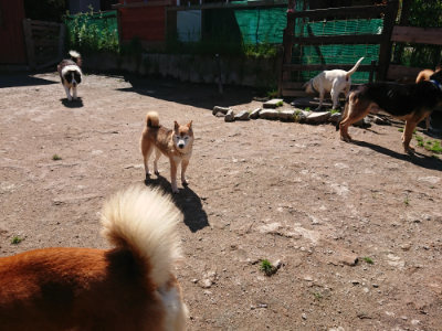 f:id:roukenhome-ann:20190507121759j:plain
