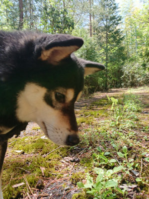 f:id:roukenhome-ann:20190507121804j:plain