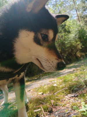 f:id:roukenhome-ann:20190507121809j:plain