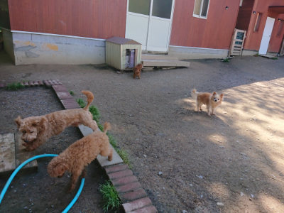 f:id:roukenhome-ann:20190507121815j:plain