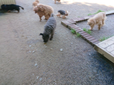 f:id:roukenhome-ann:20190507121820j:plain