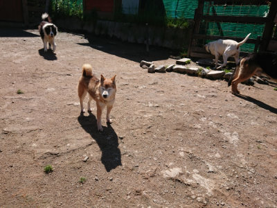 f:id:roukenhome-ann:20190507121846j:plain