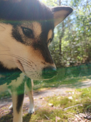 f:id:roukenhome-ann:20190507121856j:plain