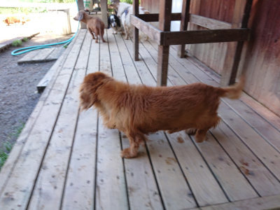 f:id:roukenhome-ann:20190507121914j:plain