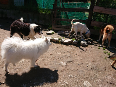 f:id:roukenhome-ann:20190507121918j:plain
