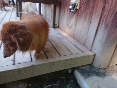 f:id:roukenhome-ann:20190507121932j:plain