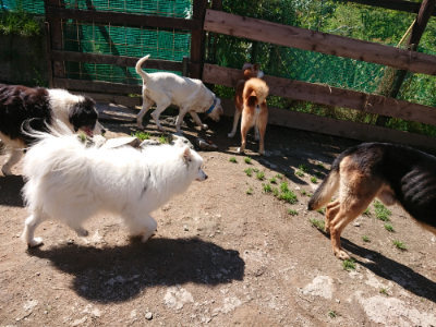 f:id:roukenhome-ann:20190507121956j:plain